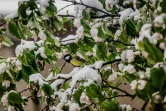 Le froid devrait persister vendredi avant un "puissant redoux" attendu dans la journée de samedi