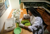 Soeur Ofelia Morales Francisco s'occupe d'une salamandre aquatique, dans son monastère au Mexique, le 22 août 2018