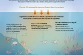 Acidification des océans