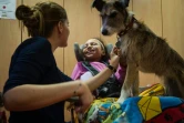 La thérapeute Emeline Chancel (g), avec la petite Chahinez, lors d'une session avec le chien Hizzy, à Wintzenheim, le 13 novembre 2015