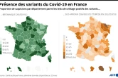 Proportion des variants en France parmi les tests de criblage positifs au Covid-19, au 12 mars