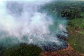 Un vaste incendie de forêt à Ramal do Cinturao Verde, en Amazonie brésilienne, le 4 août 2020