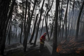 Un pompier éteint un reste d'incendie dans la zone de Casais do Vento à Alvaiazere (centre du portugal), le 10 juillet 2022 