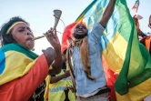 Des manifestants promettent de défendre la capitale face aux rebelles tigréens lors d'un rassemblement pro-gouvernemental à Addis Abeba, en Ethiopie, le 7 novembre 2021