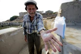 Elias al-Najar, 93 ans, montre des cristaux de sel récoltés à Anfé, sur la côte libanaise, le 21 juillet 2017