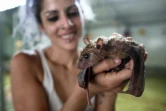 Nora Lifschitz avec une chauve-souris dans son repaire le 22 juin 2016 dans la vallée d'Elah en Israël