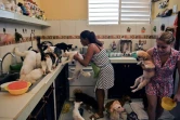 Noris Perez et sa fille nourrissent des chiens et des chats recueillis chez elles, le 29 septembre 2020 à La Havane, à Cuba