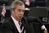 Nigel Farage, le leader historique et chef intérimaire du parti europhobe britannique Ukip à Strasbourg, le 26 octobre 2016