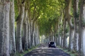 Probable prochaine annonce d'une réduction de la vitesse à 80 km/h sur les routes secondaires en France