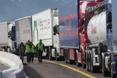 Blocage de la circulation sur l'autoroute A9 par les gilets jaunes