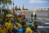 Des Thaïlandais attendent près du Grand palais le passage de la grande parade pour le couronnement du roi Maha Vajiralongkorn dans les rues de Bangkok, le 5 mai 2019