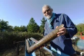 Philippe Lambert, astrogéologue, tient un échantillon de roche extrait d'un astroblème, ou "cicatrice d'étoile", le 17 octobre 2017 à Rochechouart, en Haute-Vienne