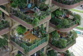 Des balcons couverts de plantes vertes à Chengdu, dans le sud-ouest de la Chine, le 12 juillet 2021