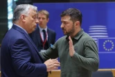 Le Premier ministe hongrois Viktor Orban et le président ukrainien Volodymyr Zelensky lors du sommet du Conseil européen à Bruxelles, le 27 juin 2024