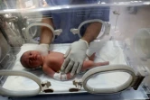 Nouveau-né mis au monde par césarienne après que sa mère, enceinte de 9 mois, a succombé à ses blessures à la suite d'un raid imputé à Israël sur Nousseirat, dans le centre de la bande de Gaza, le 20 juillet 2024