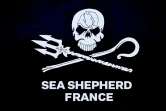 Logo de l'association Sea Shepherd France
