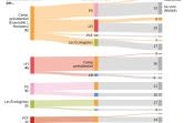 Les désistements des principaux partis avant le second tour