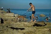 Un homme promène son chien sur la côte près du Malecon de La Havane, le 3 juillet 2020