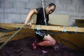 Le viticulteur japonais  Hirotake Ooka un harnais dans sa cuve pour remuer avec ses pieds le raisin fraîchement récolté à Saint-Pérey près de Valence, le 26 septembre 2016