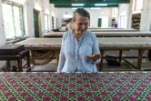 La créatrice Brigitte Singh inspecte une étoffe imprimée à la planche dans son atelier à Amber, le 2 juin 2022 dans l'Etat du Rajasthan, en Inde