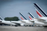 Avions Air France alignés sur le tarmac de l'aéroport Roissy-Charles-de-Gaulle, le 24 avril 2018