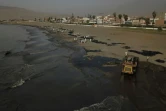 Nettoyage d'une plage de la station balnéaire d'Ancon, au nord de Lima, après une marée noire provoquée par l'éruption d'un volcan aux îles Tonga, le 20 janvier 2022 au Pérou