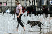 Une femme promène son chien dans une fontaine à Lyon, le 24 juin 2019