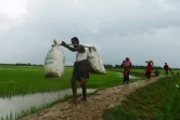 Des réfugiés rohingyas près de Teknaf, au Bangladesh, le 9 septembre 2017