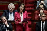 La députée écologiste Marie-Charlotte Garin prononce un discours lors d'une séance de questions au gouvernement à l'Assemblée nationale, à Paris, le 29 janvier 2025