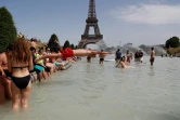 Plongeon dans la fontaine du Trocadéro à Paris le 28 juin 2019