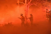 Des pompiers luttent contre les flammes le 31 décembre 2019 près de la ville de Nowra, en Australie
