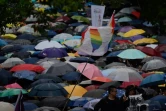 Des partisans du mariage gay rassemblés sous la pluie devant le Parlement, le 17 mai 2019 à Taipei, à Taïwan