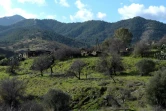 Le village abandonnÃ© de Variseia, dans la zone tampon sÃ©parant les deux parties de Chypre, le 27 janvier 2022