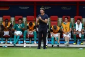 Joachim Löw sans solution face à la Corée du Sud avant l'élimination de l'Allemagne de la Coupe du monde russe à Kazan, le 27 juin 2018