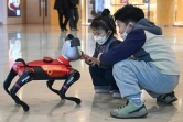 Des enfants jouent avec un chien robot doté d'intelligence artificielle dans un magasin de l'entreprise technologique Weilan à Nanjing, dans la province du Jiangsu, le 9 janvier 2025 dans l'est de la Chine