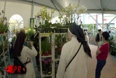 Les 5èmes Floralies de l'Océan Indien  ont eu lieu du vendredi 6 au dimanche 8 octobre 2000 au parc des Expositions de Saint-Denis de La Réunion. L'exposition vente était placée sous le thème &quot;les hommes et les plantes à travers le temps&quot;