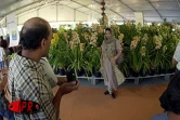 Les 5èmes Floralies de l'Océan Indien  ont eu lieu du vendredi 6 au dimanche 8 octobre 2000 au parc des Expositions de Saint-Denis de La Réunion. L'exposition vente était placée sous le thème &quot;les hommes et les plantes à travers le temps&quot;