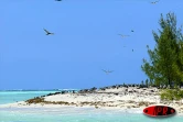 L'île aux cocos (Maurice), accueille plusieurs espèces d'oiseaux protégés (sterne, fous de bassans, frégatge, oiseaux la vierge...)