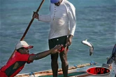 Image de pêche à la senne à l'île Rodrigues