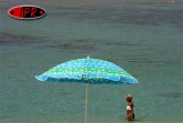 Sobres, exubérants, démonstratifs, discrets, les parasols fleurissent partout sur les plages