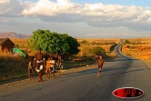 Paysage malgache entre Tuléar et Antsirabe