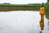 Des agriculteurs impactés par les fortes intempéries dans l'est