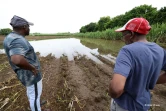 Des agriculteurs impactés par les fortes intempéries dans l'est