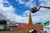 Tour d'ananas au Tampon, Record du monde de la plus haute pyramide de fruits