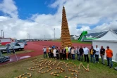 Tour d'ananas au Tampon, Record du monde de la plus haute pyramide de fruits