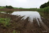 Des agriculteurs impactés par les fortes intempéries dans l'est