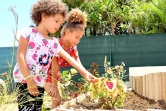 Aménagement d'une jardinière commune à Saint-Denis