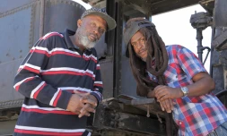 Steel Pulse