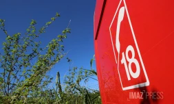 Sdis 974