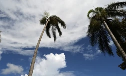 illustrations photos météo réunion